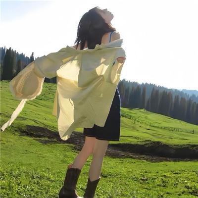 小叮当:拯救精灵大作战