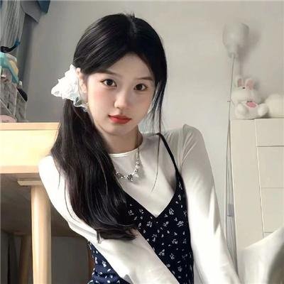 呆萌特务