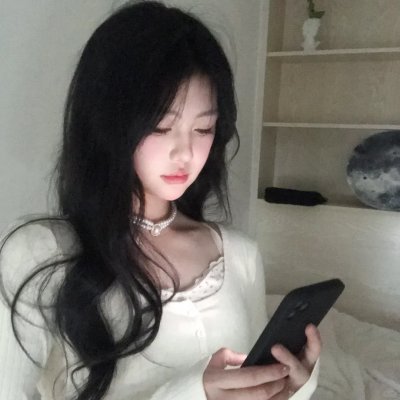 黑之契约者2:流星的双子